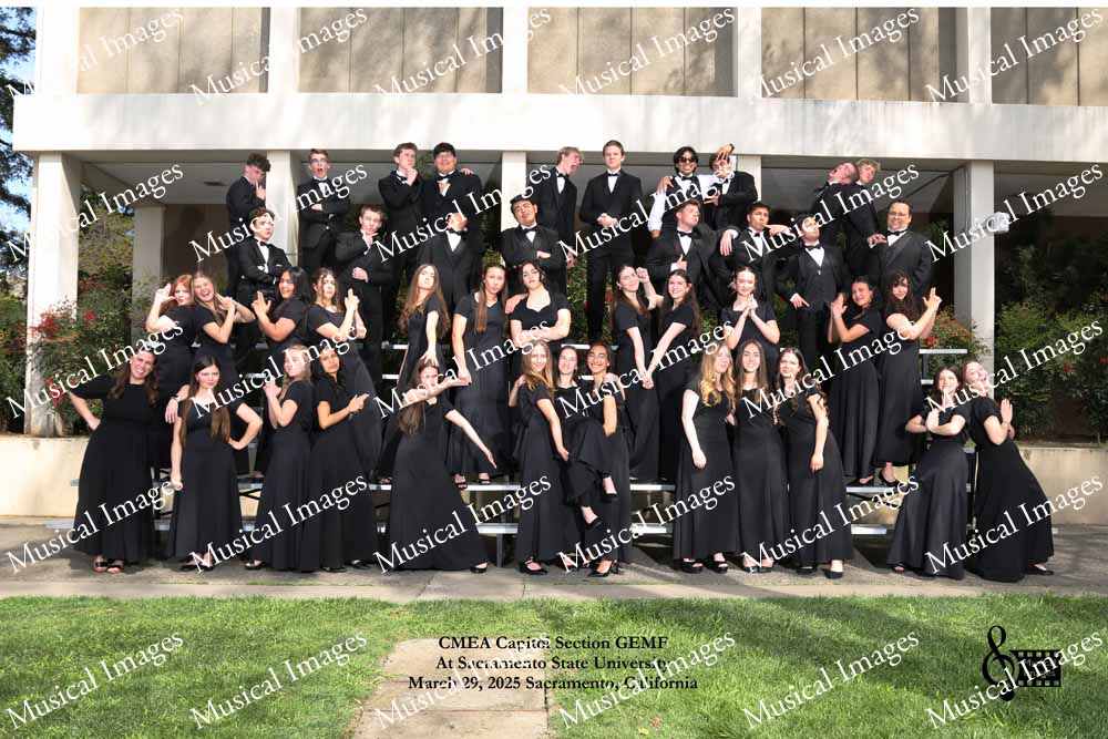 Musical Images